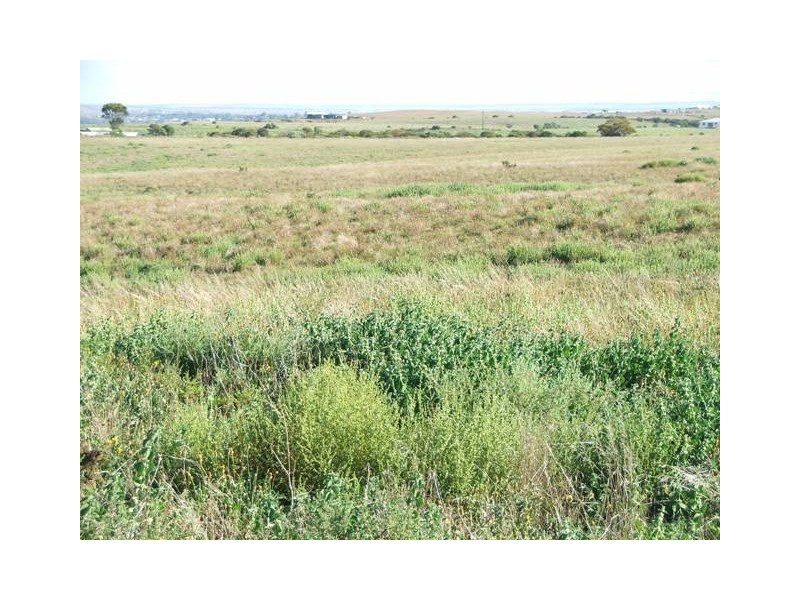 Sect. 500 Underwood Hill Road, Mannum SA 5238