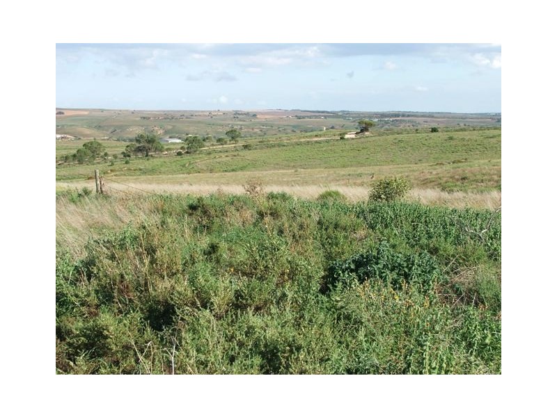 Sect. 500 Underwood Hill Road, Mannum SA 5238