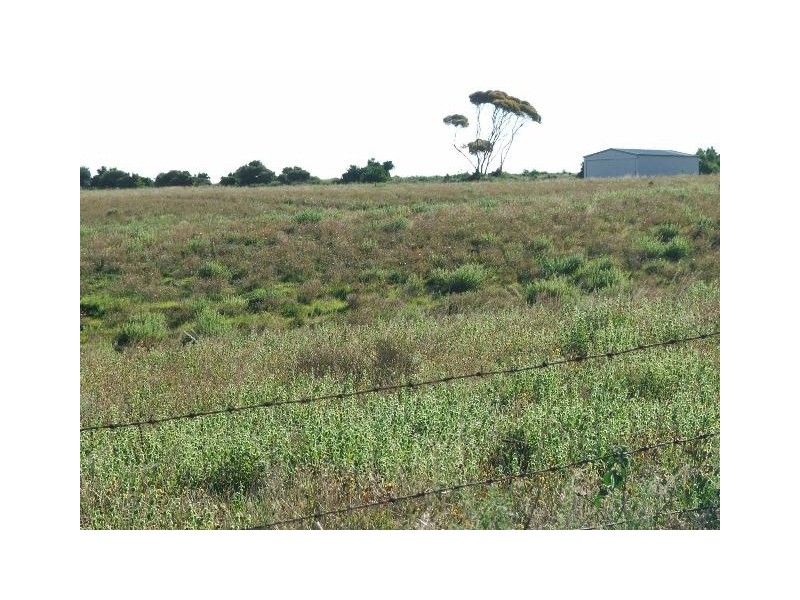 Sect. 500 Underwood Hill Road, Mannum SA 5238