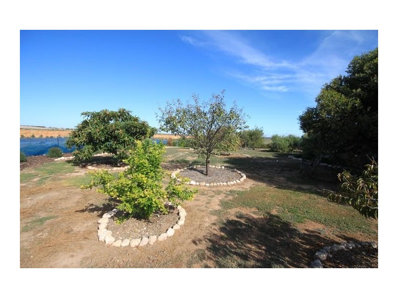 Lot 9 Peters Road, Wongulla SA 5238