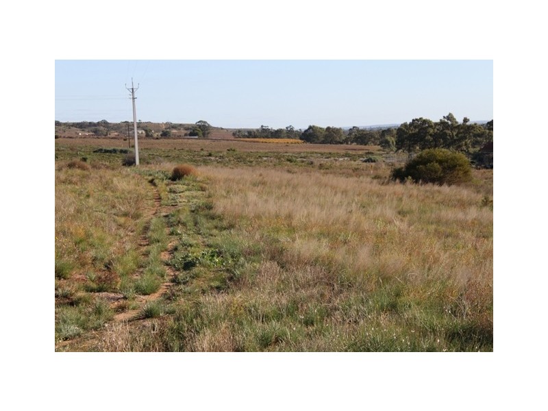 Lot 101,  Greenshields Road, Younghusband SA 5238