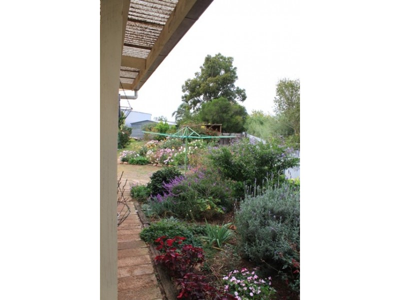 10 Randall Street, Mannum SA 5238