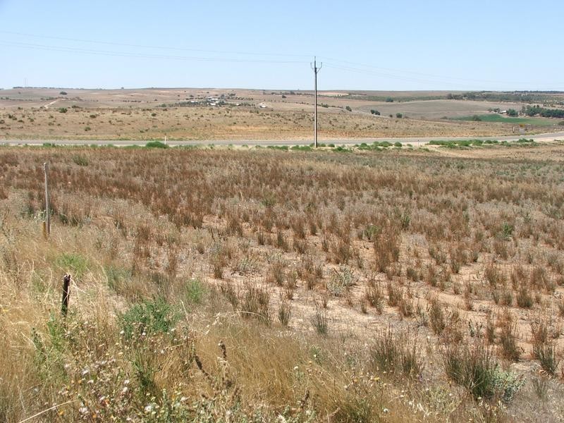 Lot 24,  Cnr Shearer Heights Rd & Omega Rd, Mannum SA 5238