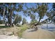 29 Murray Terrace, COWIRRA via, Mannum SA 5238