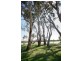 29 Murray Terrace, COWIRRA via, Mannum SA 5238