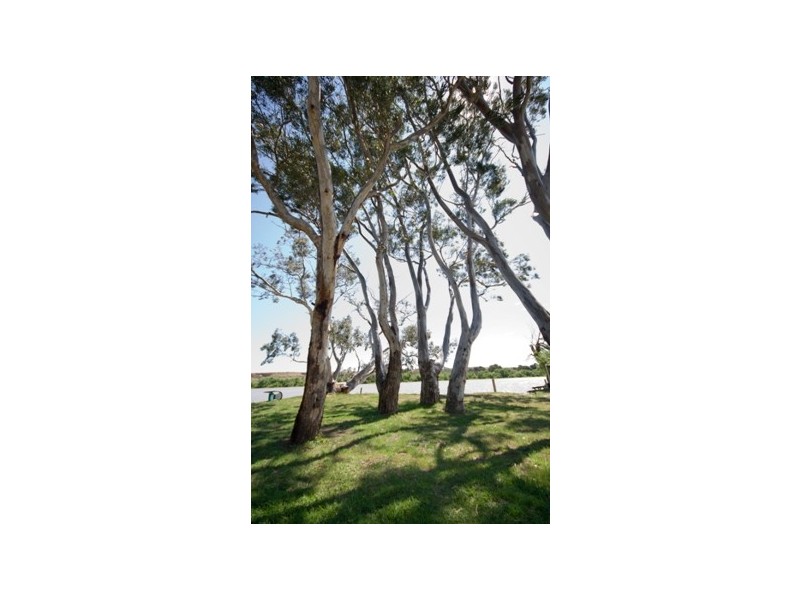 29 Murray Terrace, COWIRRA via, Mannum SA 5238