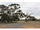 Lot 3 Cambrai Road, Sanderston SA 5237