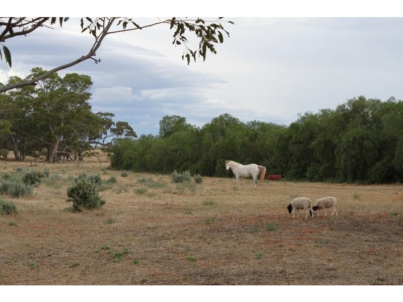 Lot 3 Cambrai Road, Sanderston SA 5237