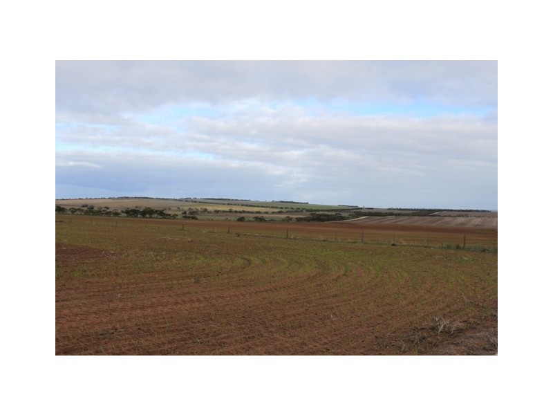 Lot 91 Adelaide Road, Mannum SA 5238