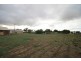 Lot 91 Adelaide Road, Mannum SA 5238