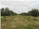 Lot 3 Cambrai Road, Sanderston SA 5237