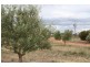 Lot 3 Cambrai Road, Sanderston SA 5237
