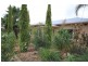 13 Greening Street, Mannum SA 5238