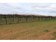 2 Main Road, Bowhill SA 5238