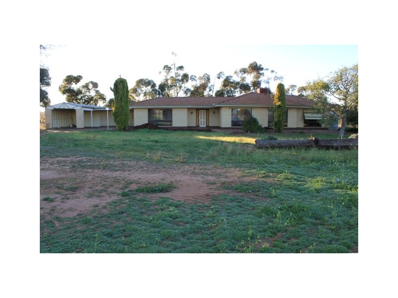 Sect. 235 Rosenzweig Road, Mannum SA 5238