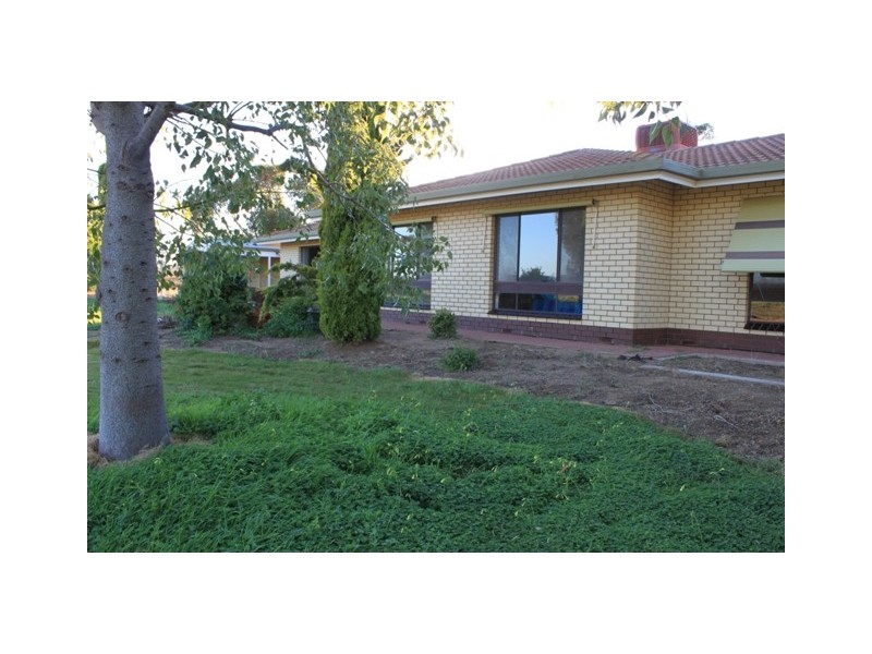Sect. 235 Rosenzweig Road, Mannum SA 5238