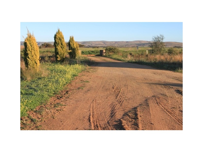 Sect. 235 Rosenzweig Road, Mannum SA 5238