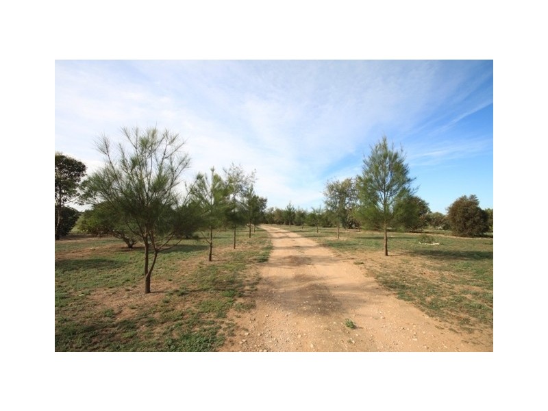 Lot 9 Peters Road, Wongulla via, Walker Flat SA 5238