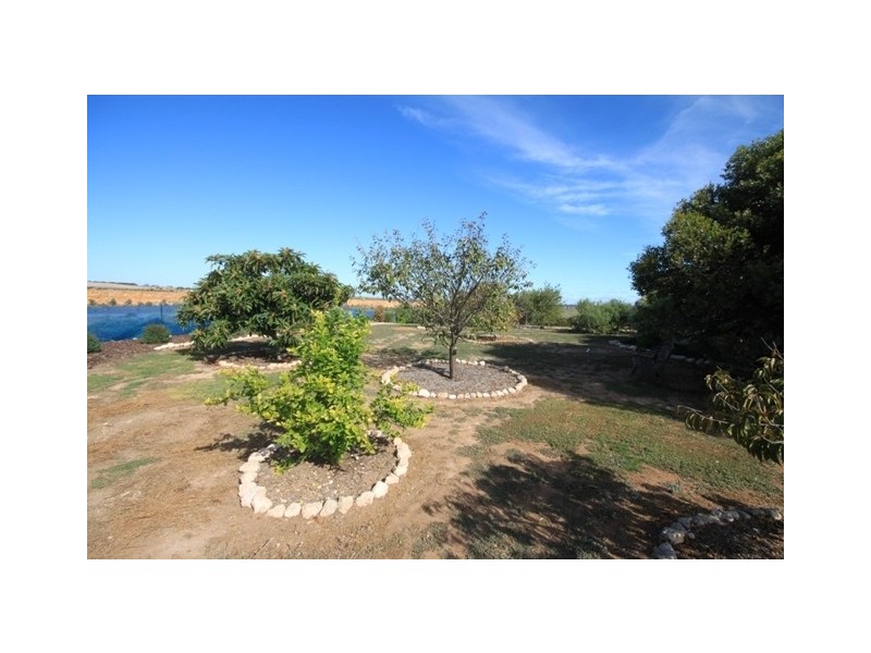 Lot 9 Peters Road, Wongulla via, Walker Flat SA 5238