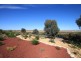 Lot 9 Peters Road, Wongulla via, Walker Flat SA 5238
