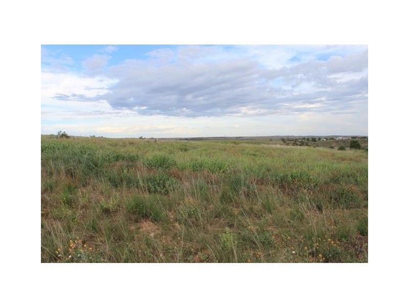 Lot 7 Peters Road, WONGULLA via, Walker Flat SA 5238