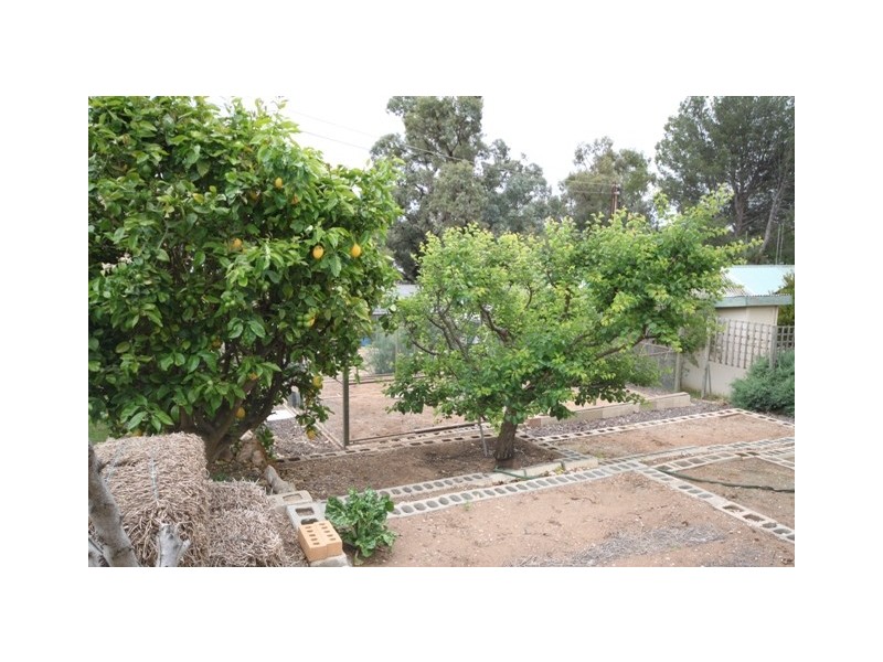 Lot 11 East Front Road, North Cowirra via, Mannum SA 5238