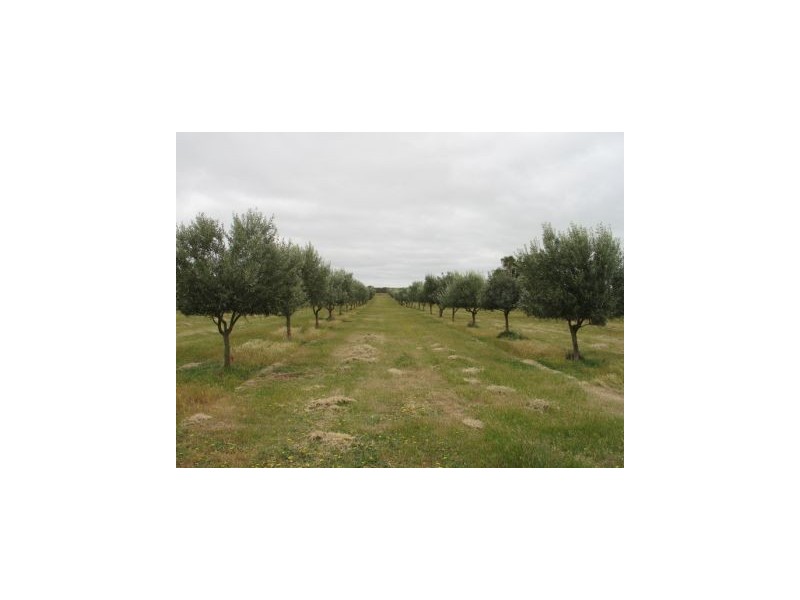 Lot 3 Cambrai Road, Sanderston SA 5237