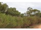 Lot 3 Cambrai Road, Sanderston SA 5237