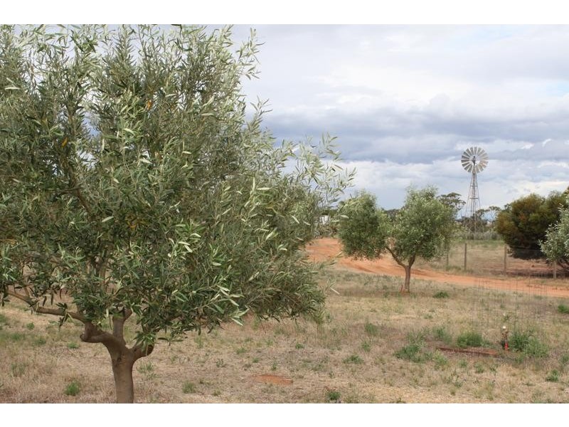 Lot 3 Cambrai Road, Sanderston SA 5237