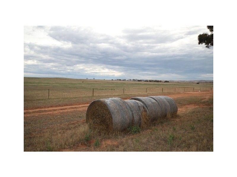 Sect. 509 Cambrai Road, Sanderston SA 5237