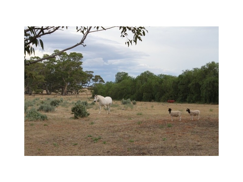 Sect. 509 Cambrai Road, Sanderston SA 5237