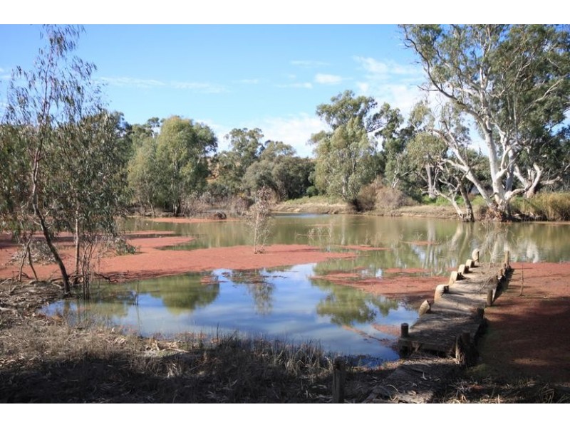 Lot 212 Government Road, SUNNYDALE via, Swan Reach SA 5354