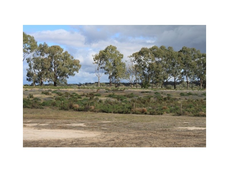 Lot 212 Government Road, SUNNYDALE via, Swan Reach SA 5354