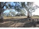 Lot 212 Government Road, SUNNYDALE via, Swan Reach SA 5354