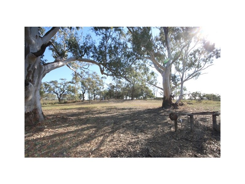 Lot 212 Government Road, SUNNYDALE via, Swan Reach SA 5354