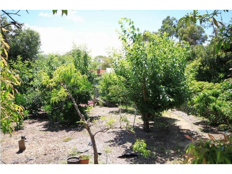 12 Murray Terrace, COWIRRA via, Mannum SA 5238