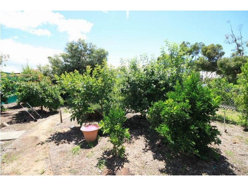 12 Murray Terrace, COWIRRA via, Mannum SA 5238