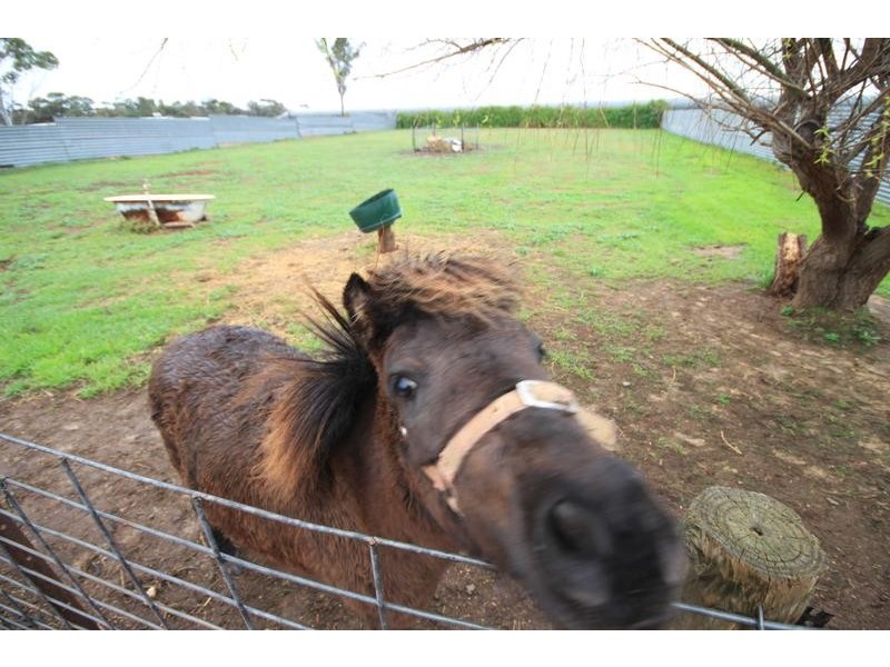 116 Adelaide Road, Mannum SA 5238