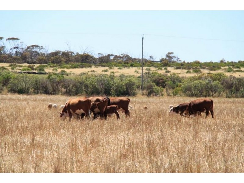 Sect 1156 Bakehouse Road, Mypolonga SA 5254