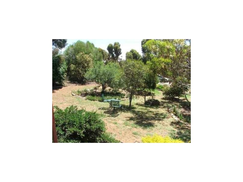 36 Murray Street, Caloote SA 5254