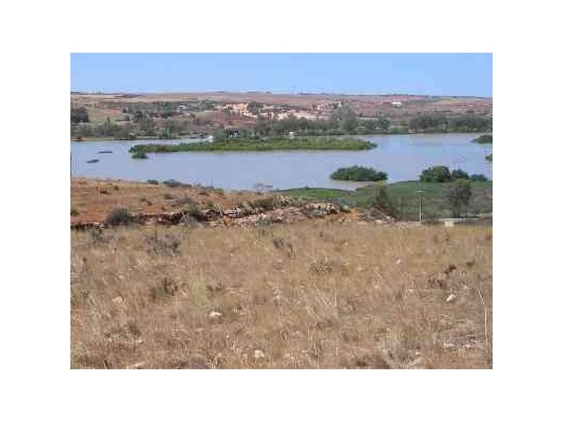 Lots 1-31 Purnong ROAD, Mannum SA 5238