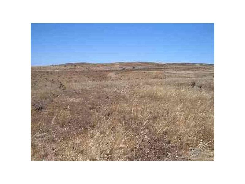 Lots 1-31 Purnong ROAD, Mannum SA 5238