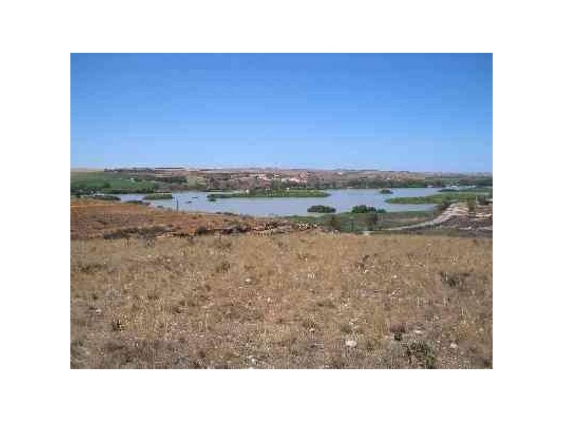 Lots 1-31 Purnong ROAD, Mannum SA 5238