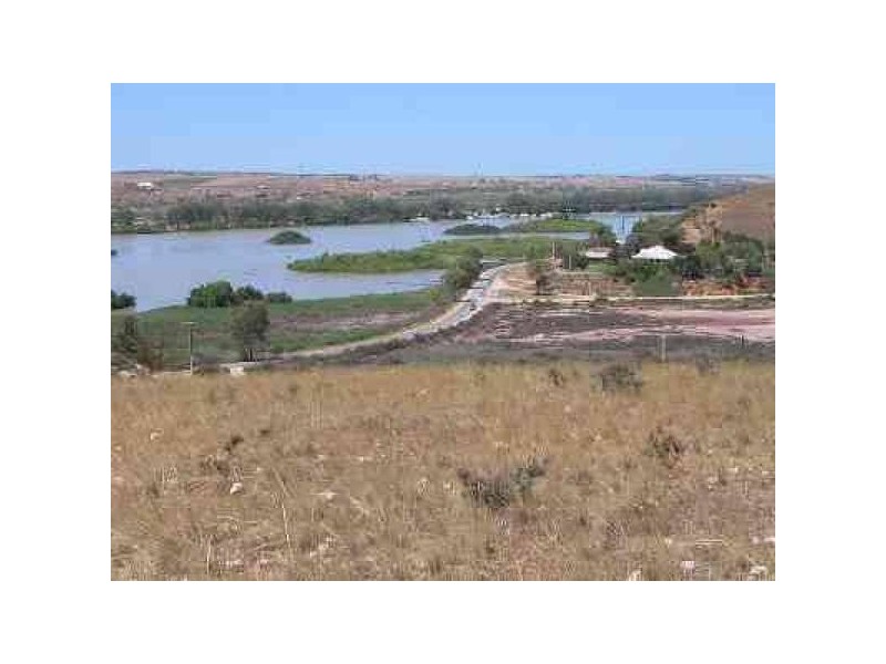 Lots 1-31 Purnong ROAD, Mannum SA 5238