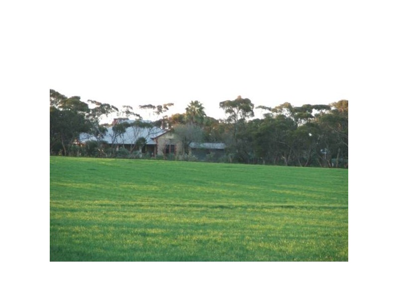 Sect. 295 Sedan / Cambrai Road, Mannum SA 5238