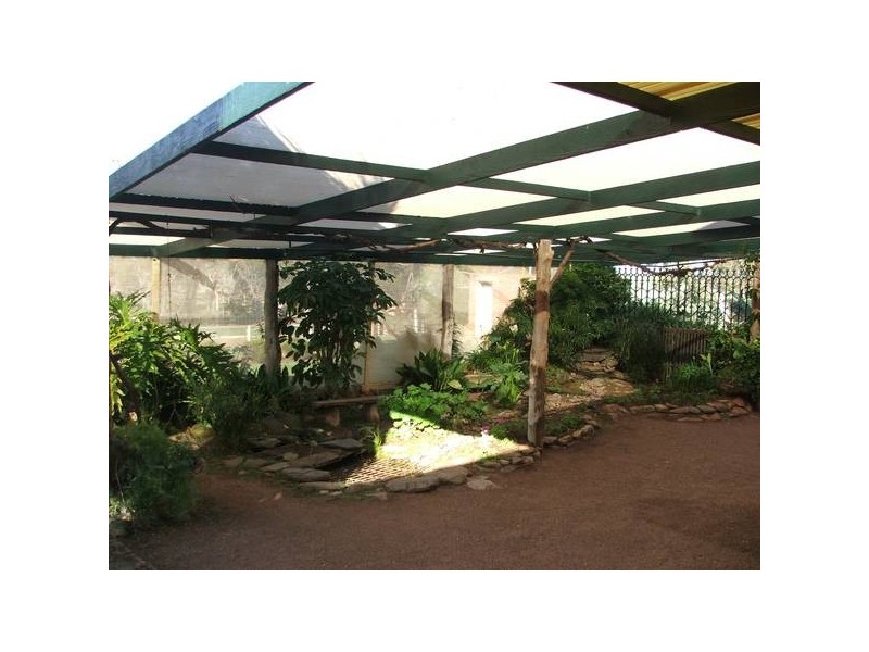 Sect. 295 Sedan / Cambrai Road, Mannum SA 5238