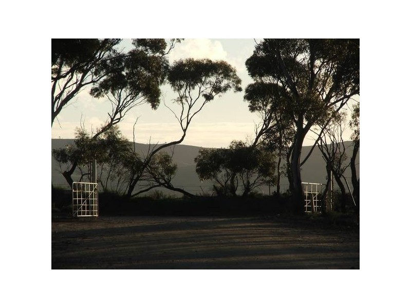 Sect. 295 Sedan / Cambrai Road, Mannum SA 5238