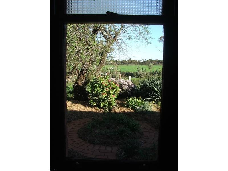 Sect. 295 Sedan / Cambrai Road, Mannum SA 5238