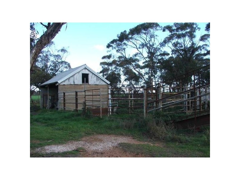 Sect. 295 Sedan / Cambrai Road, Mannum SA 5238