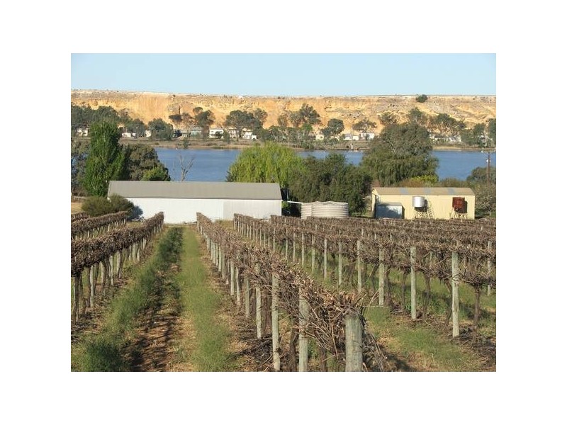 Lot 10 Punyelroo via, Swan Reach SA 5354